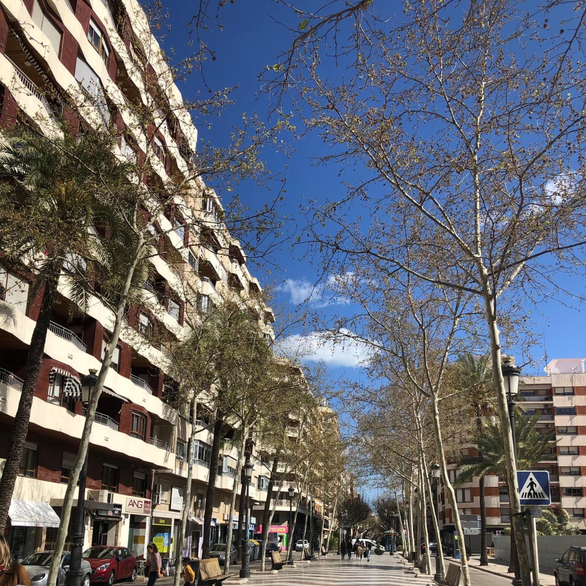 Habitaciones En Gandia A 5 Min Del Centro Historico Εξωτερικό φωτογραφία